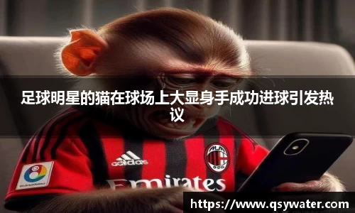足球明星的猫在球场上大显身手成功进球引发热议