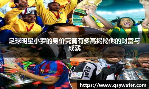足球明星小罗的身价究竟有多高揭秘他的财富与成就